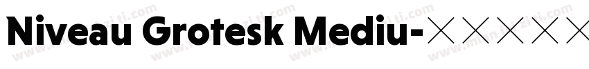 Niveau Grotesk Mediu字体转换